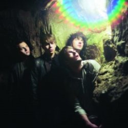 Pochette Klaxons - Valley Of The Calm Trees