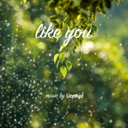 Pochette LiQWYD - Like You