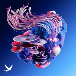 Pochette Korolova & MotherEarth feat. Tyoz - Nightshapes (Bigfett Remix)