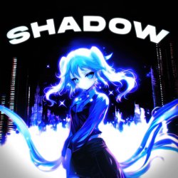 Pochette DX7F - Shadow