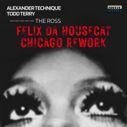 Pochette Felix Da Housecat - What Does It Feel Like