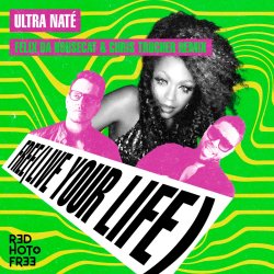 Pochette Felix Da Housecat - We