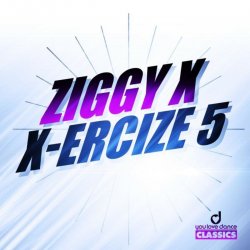 Pochette Ziggy X - Vikinx