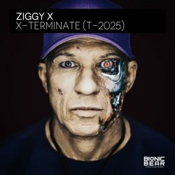 Pochette Ziggy X - Connexion