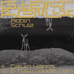 Pochette Robin Schulz - Intro