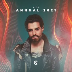 Pochette Alok - Alive