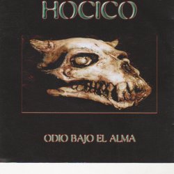 Pochette Hocico - Silent Crow