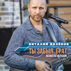 Pochette Виталий Аксенов - Ты забыл брат