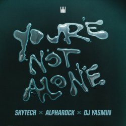 Pochette Skytech feat. Alpharock & DJ Yasmin - You’re Not Alone