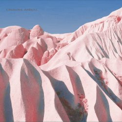 Pochette Autechre - We R Are Why