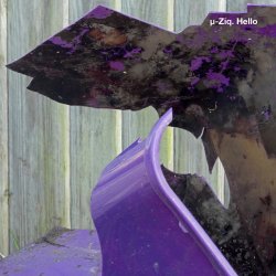 Pochette U-Ziq - Mushroom Compost
