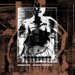 Pochette Synapscape - Surface