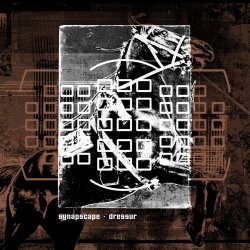 Pochette Synapscape - Discorrode