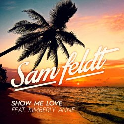 Pochette Sam Feldt - Save Tonight