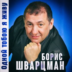 Pochette Борис Шварцман - С днем рождения
