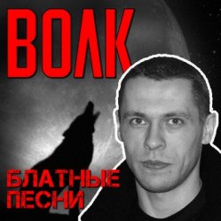 Pochette Виталий Волк - Стая