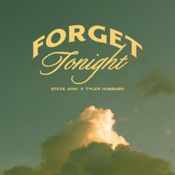 Pochette Steve Aoki - Forget Tonight (feat. Tyler Hubbard)