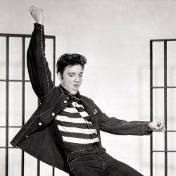 Pochette Elvis Presley - (Let Me Be Your) Teddy Bear