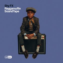 Pochette Shy FX - Special Request