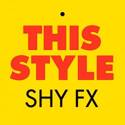 Pochette Shy FX - This style