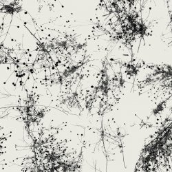 Pochette Taylor Deupree - Everything's Gone Grey