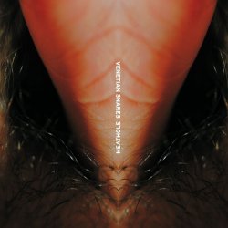 Pochette Venetian Snares - Duffy