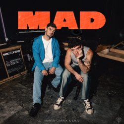 Pochette Martin Garrix & Lauv - MAD