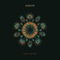 Pochette HAEVN & Lily Meola - Till the Morning
