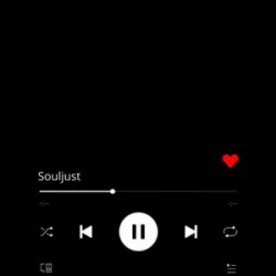 Pochette Souljust - Не віддам
