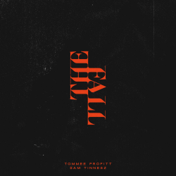 Pochette Tommee Profitt & Sam Tinnesz - Daylight