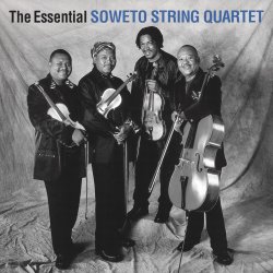 Pochette The String Quartet - Paint in black