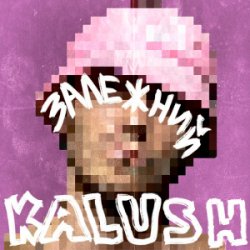 Pochette KALUSH - Залежний