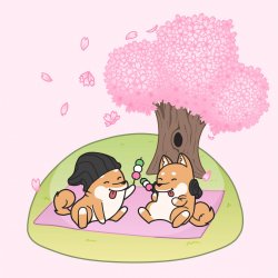 Pochette Hyper Potions - Cherry Blossoms