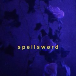 Pochette Spellsword - Portals