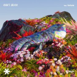 Pochette Quiet Bison - Blight