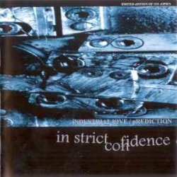 Pochette Aghast View - Truthl Truthlike (Found Amplitude Mix By In Strict Confidence)