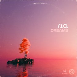 Pochette R.I.O. - Dreams