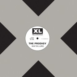 Pochette The Prodigy - We Gonna Rock