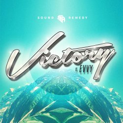 Pochette Sound Remedy - Summer Was Fun
