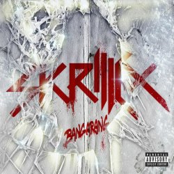 Pochette Skrillex - Go On
