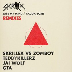 Pochette Skrillex - Fuck That