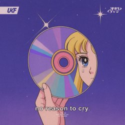 Pochette [IVY] - no reason to cry