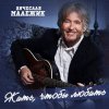 Вячеслав Малежик - В лето билеты