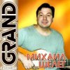 Михаил Шелег - Не люблю, не ревную