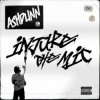Pochette Ashdunn - Injure The Mic Ashdunn - Injure The Mic