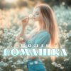 Pochette Колін - Ромашка Колін - Ромашка