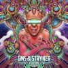 Pochette GMS & Stryker - Music & Drugs GMS & Stryker - Music & Drugs