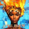 Pochette MD Dj - Fire Burn MD Dj - Fire Burn
