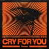 Pochette Ilyaa - Cry for You Ilyaa - Cry for You