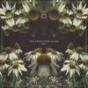 Pochette Lost World - Stargazer Lost World - Stargazer